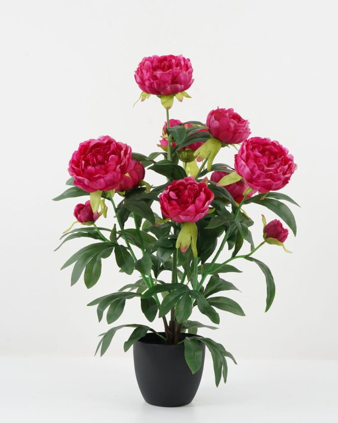 Artificial Flower 42*42*65cm Peony in PP pot GS-30622019 Potted Flowers&Plants YeahFlower is one of Chinese leading OEM manufacturers and exporters , supplying the silk flowers, wholesale artificial trees