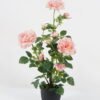 Artificial Flower 35*35*69cm Rose in PP pot GS-30622023 Potted Flowers&Plants YeahFlower is one of Chinese leading OEM manufacturers and exporters , supplying the silk flowers, wholesale artificial trees