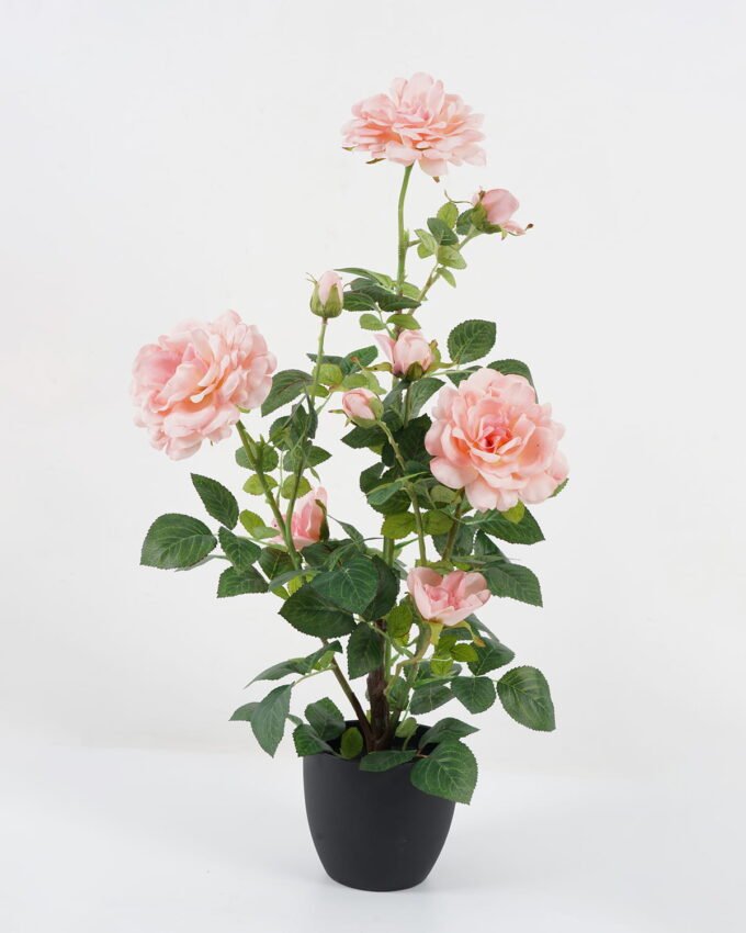 Artificial Flower 35*35*69cm Rose in PP pot GS-30622023 Potted Flowers&Plants YeahFlower is one of Chinese leading OEM manufacturers and exporters , supplying the silk flowers, wholesale artificial trees
