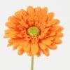 Artificial Flower 11*72CM Single Gerbera  GS-05522007-O1 Single Flowers YeahFlower is one of Chinese leading OEM manufacturers and exporters , supplying the silk flowers, wholesale artificial trees