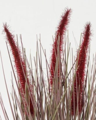 Artificial Grass 20*20*33cm Grass *3 in PP pot GS-61922062-R1 Grass&PLANT YeahFlower is one of Chinese leading OEM manufacturers and exporters , supplying the silk flowers, wholesale artificial trees Artificial Grass 20*20*33cm Grass *3 in PP pot GS-61922062-R1 Grass&PLANT YeahFlower is one of Chinese leading OEM manufacturers and exporters , supplying the silk flowers, wholesale artificial trees