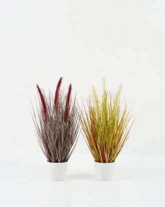 Artificial Grass 20*20*33cm Grass *3 in PP pot GS-61922062 Grass&PLANT YeahFlower is one of Chinese leading OEM manufacturers and exporters , supplying the silk flowers, wholesale artificial trees Artificial Grass 20*20*33cm Grass *3 in PP pot GS-61922062 Grass&PLANT YeahFlower is one of Chinese leading OEM manufacturers and exporters , supplying the silk flowers, wholesale artificial trees