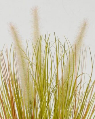 Artificial Grass 20*20*33cm Grass *3 in PP pot GS-61922062 Grass&PLANT YeahFlower is one of Chinese leading OEM manufacturers and exporters , supplying the silk flowers, wholesale artificial trees Artificial Grass 20*20*33cm Grass *3 in PP pot GS-61922062 Grass&PLANT YeahFlower is one of Chinese leading OEM manufacturers and exporters , supplying the silk flowers, wholesale artificial trees