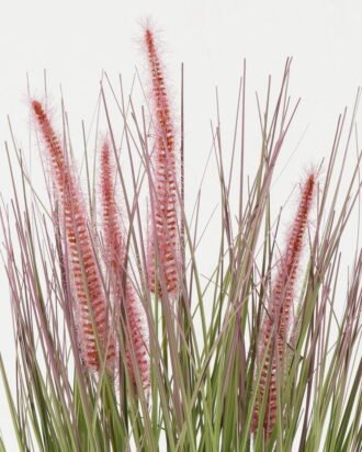 Artificial Grass 25*25*43cm Grass *4 in PP pot GS-61922061 Grass&PLANT YeahFlower is one of Chinese leading OEM manufacturers and exporters , supplying the silk flowers, wholesale artificial trees Artificial Grass 25*25*43cm Grass *4 in PP pot GS-61922061 Grass&PLANT YeahFlower is one of Chinese leading OEM manufacturers and exporters , supplying the silk flowers, wholesale artificial trees