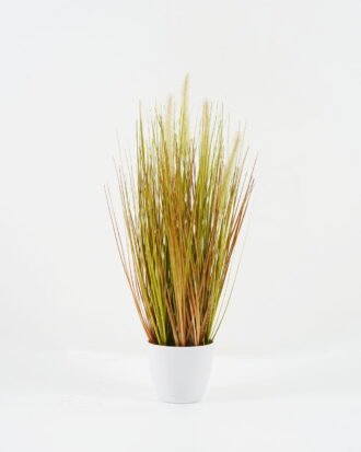 Artificial Grass 27*27*50cm Grass *5 in PP pot GS-61922060-Y1 Grass&PLANT YeahFlower is one of Chinese leading OEM manufacturers and exporters , supplying the silk flowers, wholesale artificial trees Artificial Grass 27*27*50cm Grass *5 in PP pot GS-61922060-Y1 Grass&PLANT YeahFlower is one of Chinese leading OEM manufacturers and exporters , supplying the silk flowers, wholesale artificial trees