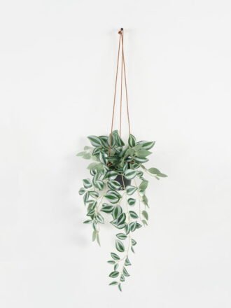Artificial Flower 14*14*15cm Dried natural items bouquet in paper box GS-56622040JJA Dried Flowers 3,000+ sqm showroom with thousands of artificial flowers, plants & trees ready for global sourcing.