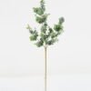 Artificial Plant 65cm Eucalyptus single stem GS-05522046 Leaves&Sprays&Foliages YeahFlower is one of Chinese leading OEM manufacturers and exporters , supplying the silk flowers, wholesale artificial trees