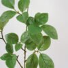 Artificial Plant 93cm Clematis Leaves GS-39122024 Leaves&Sprays&Foliages YeahFlower is one of Chinese leading OEM manufacturers and exporters , supplying the silk flowers, wholesale artificial trees