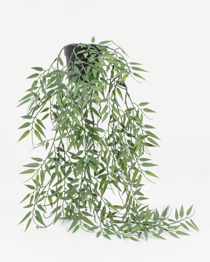 Artificial Plant 26*26*34cm Bamboo cane in PP pot GS-05522015 Potted Flowers&Plants YeahFlower is one of Chinese leading OEM manufacturers and exporters , supplying the silk flowers, wholesale artificial trees