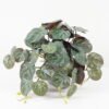 Artificial Plant Begonia leaf in PP pot GS-30622026_3 Artificial Plant 44*44*26cm Begonia leaf in PP pot GS-30622026 Potted Flowers&Plants YeahFlower is one of Chinese leading OEM manufacturers and exporters , supplying the silk flowers, wholesale artificial trees