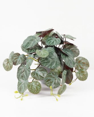Artificial Plant 44*44*26cm Begonia leaf in PP pot GS-30622026 Potted Flowers&Plants YeahFlower is one of Chinese leading OEM manufacturers and exporters , supplying the silk flowers, wholesale artificial trees Artificial Plant 44*44*26cm Begonia leaf in PP pot GS-30622026 Potted Flowers&Plants YeahFlower is one of Chinese leading OEM manufacturers and exporters , supplying the silk flowers, wholesale artificial trees