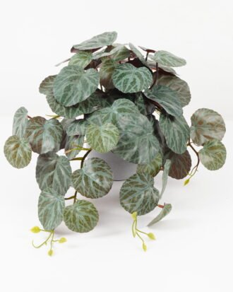Artificial Plant 44*44*26cm Begonia leaf in PP pot GS-30622026 Potted Flowers&Plants YeahFlower is one of Chinese leading OEM manufacturers and exporters , supplying the silk flowers, wholesale artificial trees Artificial Plant 44*44*26cm Begonia leaf in PP pot GS-30622026 Potted Flowers&Plants YeahFlower is one of Chinese leading OEM manufacturers and exporters , supplying the silk flowers, wholesale artificial trees