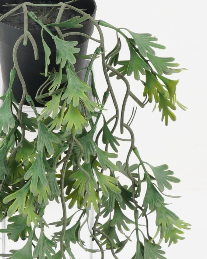 Artificial Plant 30*30*53cm Celery Salt in PP pot GS-05522018 Potted Flowers&Plants YeahFlower is one of Chinese leading OEM manufacturers and exporters , supplying the silk flowers, wholesale artificial trees