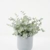 Artificial Plant 24*24*29cm Eucalyptus *14 in PP pot GS-30622027 Potted Flowers&Plants YeahFlower is one of Chinese leading OEM manufacturers and exporters , supplying the silk flowers, wholesale artificial trees