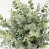 Artificial Plant 24*24*29cm Eucalyptus *14 in PP pot GS-30622027 Potted Flowers&Plants YeahFlower is one of Chinese leading OEM manufacturers and exporters , supplying the silk flowers, wholesale artificial trees