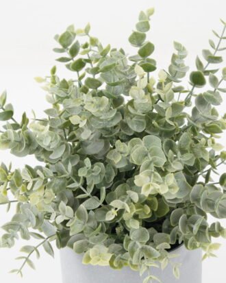Artificial Plant 24*24*29cm Eucalyptus *14 in PP pot GS-30622027 Potted Flowers&Plants YeahFlower is one of Chinese leading OEM manufacturers and exporters , supplying the silk flowers, wholesale artificial trees Artificial Plant 24*24*29cm Eucalyptus *14 in PP pot GS-30622027 Potted Flowers&Plants YeahFlower is one of Chinese leading OEM manufacturers and exporters , supplying the silk flowers, wholesale artificial trees