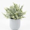 Artificial Plant 24*24*29cm Eucalyptus *14 in PP pot GS-30622027 Potted Flowers&Plants YeahFlower is one of Chinese leading OEM manufacturers and exporters , supplying the silk flowers, wholesale artificial trees