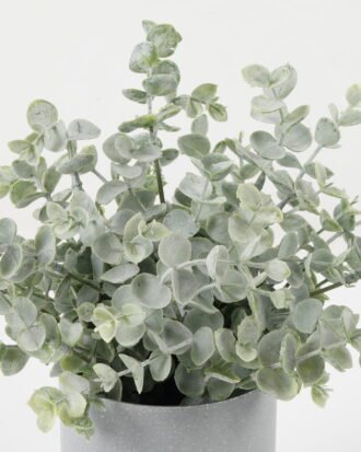 Artificial Plant 23*23*25cm Eucalyptus *14 in PP pot GS-30622031 Potted Flowers&Plants YeahFlower is one of Chinese leading OEM manufacturers and exporters , supplying the silk flowers, wholesale artificial trees