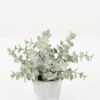 Artificial Plant Eucalyptus 7 in PP pot GS-30622038 Artificial Plant 16*16*19cm Eucalyptus *7 in PP pot GS-30622038 Potted Flowers&Plants YeahFlower is one of Chinese leading OEM manufacturers and exporters , supplying the silk flowers, wholesale artificial trees