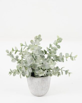 Artificial Plant 16*16*19cm Eucalyptus *7 in PP pot GS-30622038 Potted Flowers&Plants YeahFlower is one of Chinese leading OEM manufacturers and exporters , supplying the silk flowers, wholesale artificial trees Artificial Plant 16*16*19cm Eucalyptus *7 in PP pot GS-30622038 Potted Flowers&Plants YeahFlower is one of Chinese leading OEM manufacturers and exporters , supplying the silk flowers, wholesale artificial trees