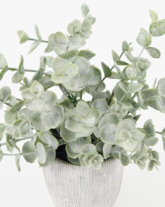 Artificial Plant 16*16*19cm Eucalyptus *7 in PP pot GS-30622038 Potted Flowers&Plants YeahFlower is one of Chinese leading OEM manufacturers and exporters , supplying the silk flowers, wholesale artificial trees Artificial Plant 16*16*19cm Eucalyptus *7 in PP pot GS-30622038 Potted Flowers&Plants YeahFlower is one of Chinese leading OEM manufacturers and exporters , supplying the silk flowers, wholesale artificial trees