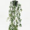 Artificial Plant 33*33*56cm Eucalyptus in PP pot GS-05522014 Potted Flowers&Plants YeahFlower is one of Chinese leading OEM manufacturers and exporters , supplying the silk flowers, wholesale artificial trees