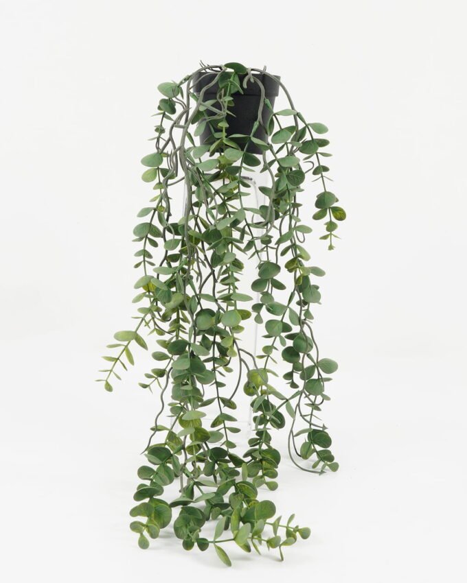 Artificial Plant 33*33*56cm Eucalyptus in PP pot GS-05522014 Potted Flowers&Plants YeahFlower is one of Chinese leading OEM manufacturers and exporters , supplying the silk flowers, wholesale artificial trees