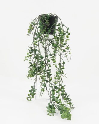 Artificial Plant 24*24*53cm Eucalyptus in PP pot GS-05522031 Potted Flowers&Plants YeahFlower is one of Chinese leading OEM manufacturers and exporters , supplying the silk flowers, wholesale artificial trees