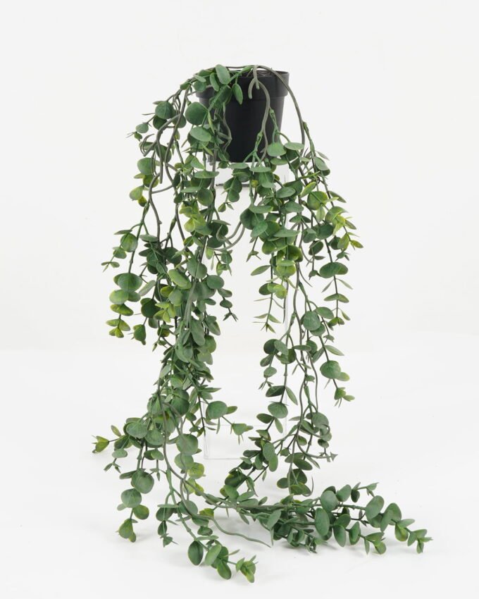 Artificial Plant 26*26*57cm Eucalyptus in PP pot GS-05522035 Potted Flowers&Plants YeahFlower is one of Chinese leading OEM manufacturers and exporters , supplying the silk flowers, wholesale artificial trees