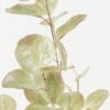 Artificial Plant 26*26*97cm Eucalyptus leaves *5 single stem GS-14522001-G1 Leaves&Sprays&Foliages YeahFlower is one of Chinese leading OEM manufacturers and exporters , supplying the silk flowers, wholesale artificial trees