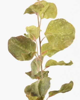 Artificial Plant 26*26*97cm Eucalyptus leaves *5 single stem GS-14522002-G1 Leaves&Sprays&Foliages YeahFlower is one of Chinese leading OEM manufacturers and exporters , supplying the silk flowers, wholesale artificial trees