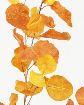 Artificial Plant 26*26*97cm Eucalyptus leaves *5 single stem GS-14522002-Y1 Leaves&Sprays&Foliages YeahFlower is one of Chinese leading OEM manufacturers and exporters , supplying the silk flowers, wholesale artificial trees