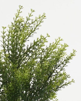 Artificial Plant 30*30*48cm Fennel grass *6 Bush GS-59122025 Leaves&Sprays&Foliages YeahFlower is one of Chinese leading OEM manufacturers and exporters , supplying the silk flowers, wholesale artificial trees