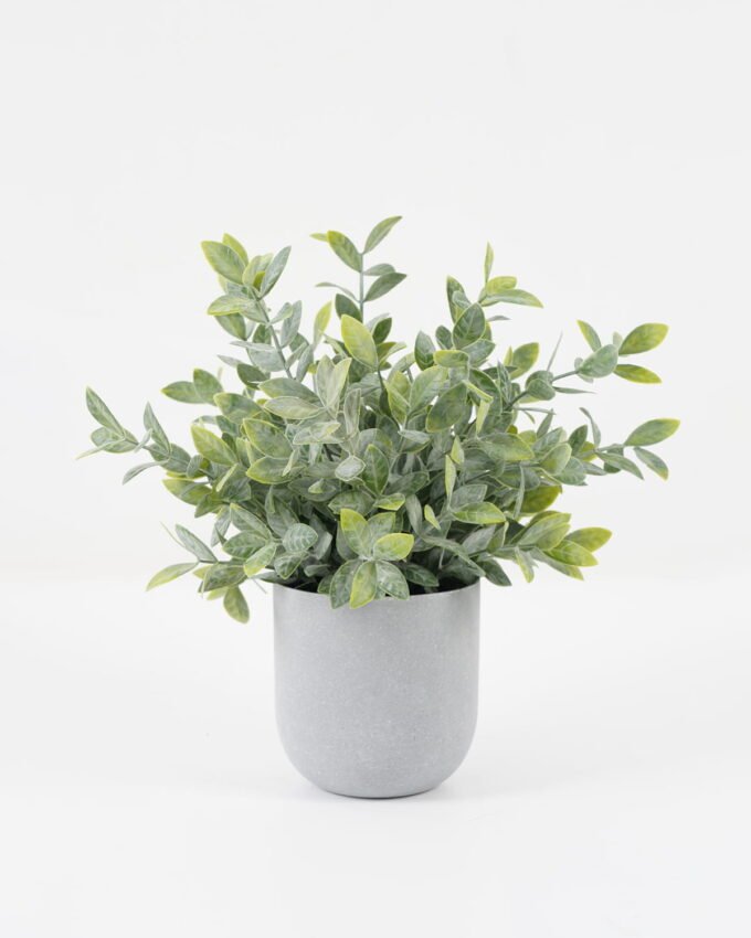 Artificial Plant 25*25*29cm Grass *12 in PP pot GS-30622033 Potted Flowers&Plants YeahFlower is one of Chinese leading OEM manufacturers and exporters , supplying the silk flowers, wholesale artificial trees