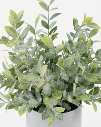 Artificial Plant 25*25*29cm Grass *12 in PP pot GS-30622033 Potted Flowers&Plants YeahFlower is one of Chinese leading OEM manufacturers and exporters , supplying the silk flowers, wholesale artificial trees