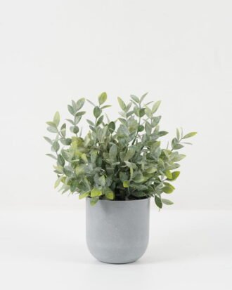 Artificial Plant 25*25*28cm Grass *14 in PP pot GS-30622043 Potted Flowers&Plants YeahFlower is one of Chinese leading OEM manufacturers and exporters , supplying the silk flowers, wholesale artificial trees Artificial Plant 25*25*28cm Grass *14 in PP pot GS-30622043 Potted Flowers&Plants YeahFlower is one of Chinese leading OEM manufacturers and exporters , supplying the silk flowers, wholesale artificial trees