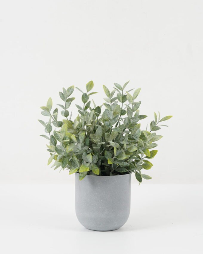 Artificial Plant 25*25*28cm Grass *14 in PP pot GS-30622043 Potted Flowers&Plants YeahFlower is one of Chinese leading OEM manufacturers and exporters , supplying the silk flowers, wholesale artificial trees