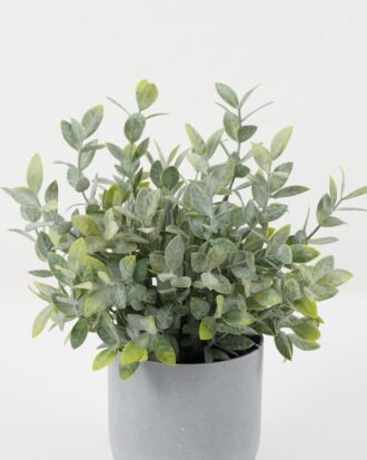 Artificial Plant 25*25*28cm Grass *14 in PP pot GS-30622043 Potted Flowers&Plants YeahFlower is one of Chinese leading OEM manufacturers and exporters , supplying the silk flowers, wholesale artificial trees Artificial Plant 25*25*28cm Grass *14 in PP pot GS-30622043 Potted Flowers&Plants YeahFlower is one of Chinese leading OEM manufacturers and exporters , supplying the silk flowers, wholesale artificial trees