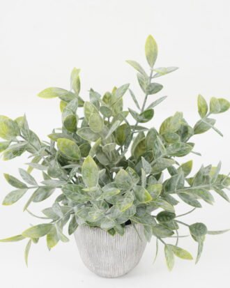 Artificial Plant 20*20*20cm Grass *7 in PP pot GS-30622039 Potted Flowers&Plants YeahFlower is one of Chinese leading OEM manufacturers and exporters , supplying the silk flowers, wholesale artificial trees Artificial Plant 20*20*20cm Grass *7 in PP pot GS-30622039 Potted Flowers&Plants YeahFlower is one of Chinese leading OEM manufacturers and exporters , supplying the silk flowers, wholesale artificial trees