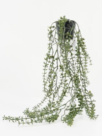 Artificial Plant 30*30*53cm Celery Salt in PP pot GS-05522018 Potted Flowers&Plants 3,000+ sqm showroom with thousands of artificial flowers, plants & trees ready for global sourcing.