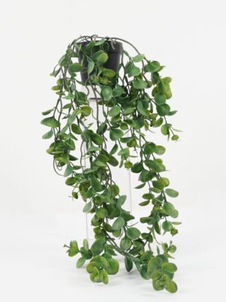Artificial Plant 30*30*56cm Eucalyptus in PP pot GS-05522019 Potted Flowers&Plants 3,000+ sqm showroom with thousands of artificial flowers, plants & trees ready for global sourcing.