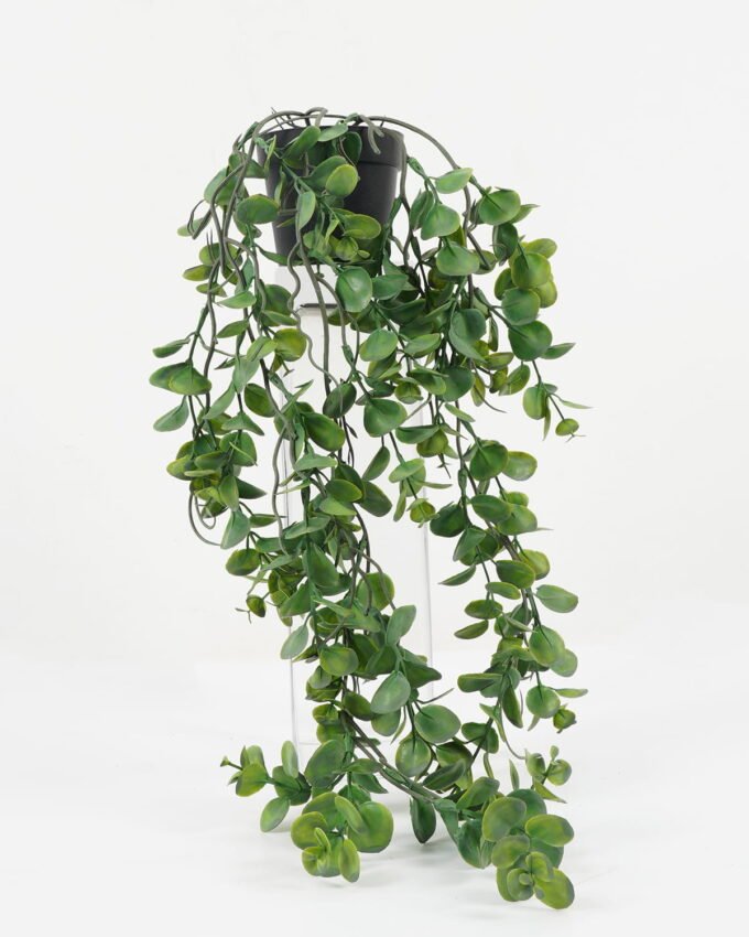 Artificial Plant 23*23*53cm Grass in PP pot GS-05522020 Potted Flowers&Plants YeahFlower is one of Chinese leading OEM manufacturers and exporters , supplying the silk flowers, wholesale artificial trees