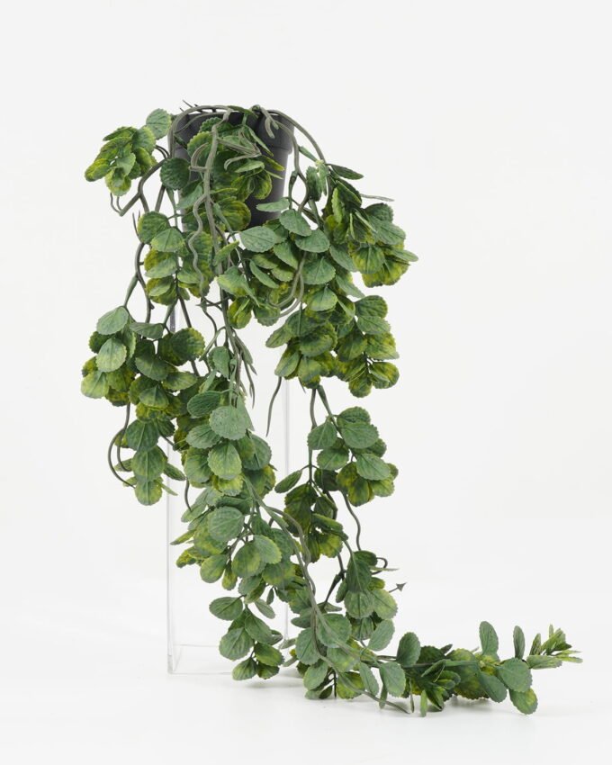 Artificial Plant 22*22*50cm Grass in PP pot GS-05522021 Potted Flowers&Plants YeahFlower is one of Chinese leading OEM manufacturers and exporters , supplying the silk flowers, wholesale artificial trees