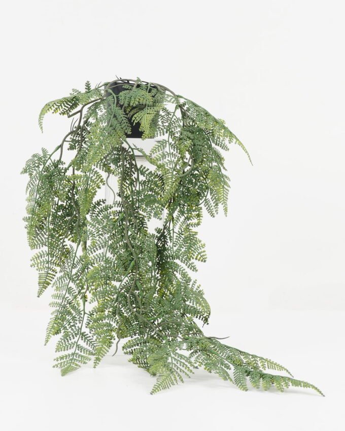 Artificial Plant 36*36*58cm Grass in PP pot GS-05522024 Potted Flowers&Plants YeahFlower is one of Chinese leading OEM manufacturers and exporters , supplying the silk flowers, wholesale artificial trees