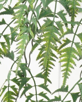 Artificial Plant 26*26*60cm Grass in PP pot GS-05522039 Potted Flowers&Plants YeahFlower is one of Chinese leading OEM manufacturers and exporters , supplying the silk flowers, wholesale artificial trees