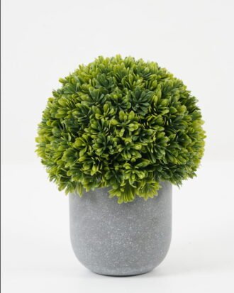 Artificial Plant 15*15*18cm  Grass in PP pot GS-30622034 Potted Flowers&Plants YeahFlower is one of Chinese leading OEM manufacturers and exporters , supplying the silk flowers, wholesale artificial trees