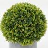 Artificial Plant 15*15*18cm  Grass in PP pot GS-30622034 Potted Flowers&Plants YeahFlower is one of Chinese leading OEM manufacturers and exporters , supplying the silk flowers, wholesale artificial trees
