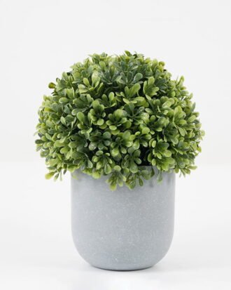Artificial Plant 14*14*17cm Grass in PP pot GS-30622035 Potted Flowers&Plants YeahFlower is one of Chinese leading OEM manufacturers and exporters , supplying the silk flowers, wholesale artificial trees Artificial Plant 14*14*17cm Grass in PP pot GS-30622035 Potted Flowers&Plants YeahFlower is one of Chinese leading OEM manufacturers and exporters , supplying the silk flowers, wholesale artificial trees