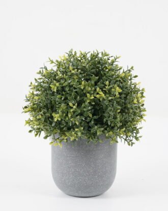 Artificial Plant 14*14*17cm Grass in PP pot GS-30622035 Potted Flowers&Plants YeahFlower is one of Chinese leading OEM manufacturers and exporters , supplying the silk flowers, wholesale artificial trees Artificial Plant 14*14*17cm Grass in PP pot GS-30622035 Potted Flowers&Plants YeahFlower is one of Chinese leading OEM manufacturers and exporters , supplying the silk flowers, wholesale artificial trees