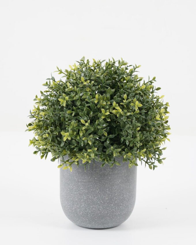 Artificial Plant 14*14*17cm Grass in PP pot GS-30622035 Potted Flowers&Plants YeahFlower is one of Chinese leading OEM manufacturers and exporters , supplying the silk flowers, wholesale artificial trees